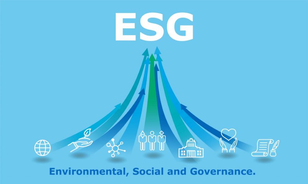 Where should ESG live in the organization?